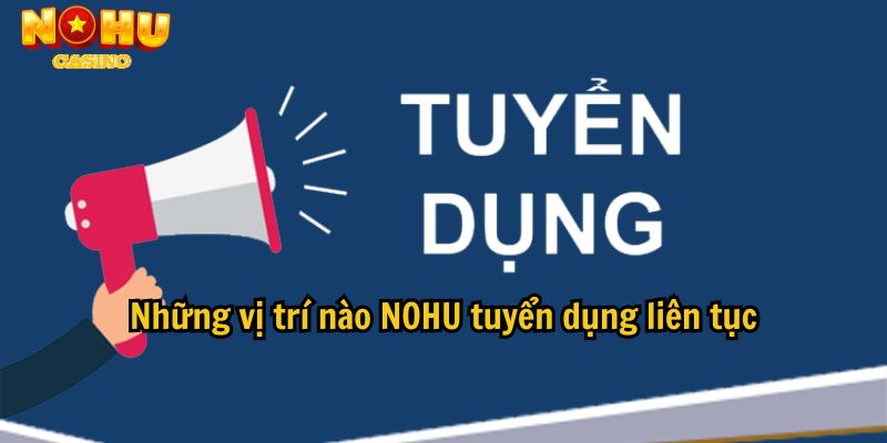 Những vị trí nào NOHU tuyển dụng liên tục?