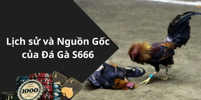 Tìm hiểu về lịch sử và  nguồn gốc của trò chơi đá gà S666